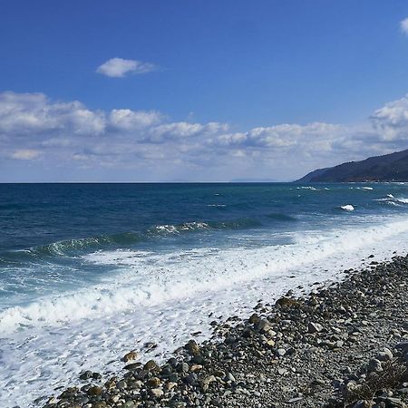Συγκρότημα Διαμερισμάτων "Όνειροι" - Ίκελος Villa Zagora Dış mekan fotoğraf